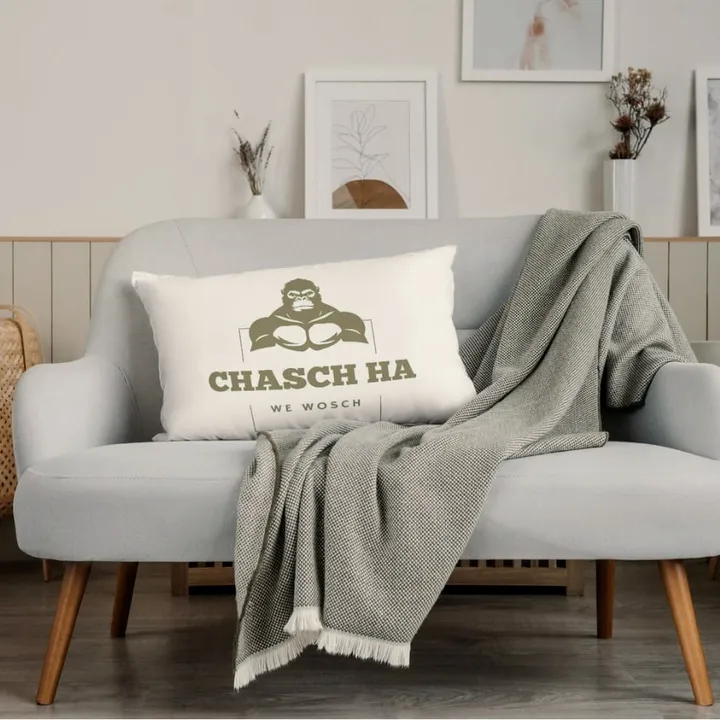 Kissen mit chasch ha Logo