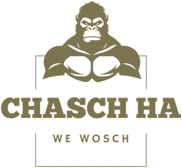 Logo chasch ha gmbh