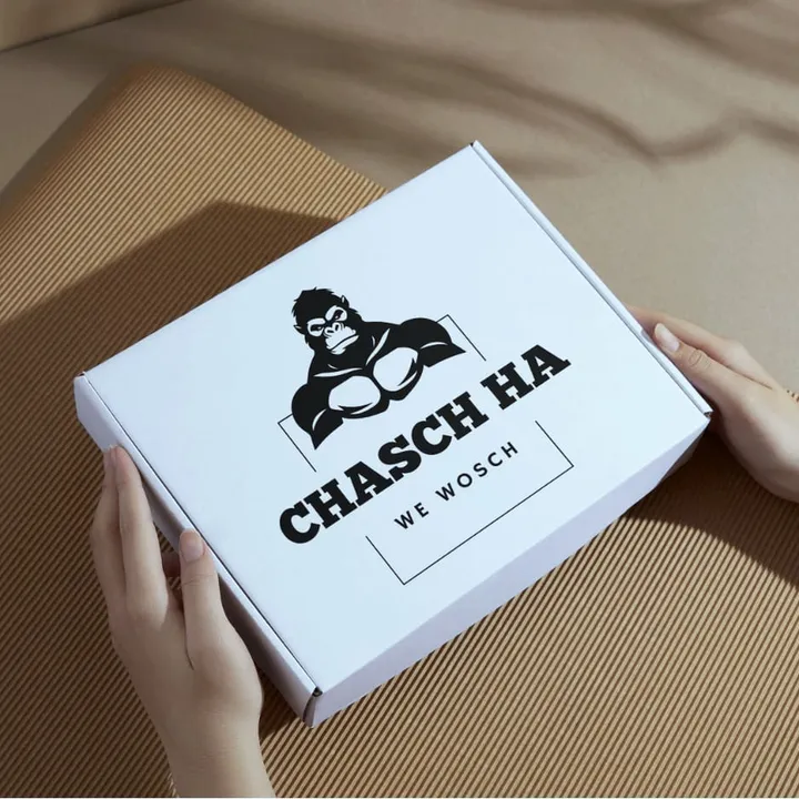 Versandkarton mit chasch ha Logo