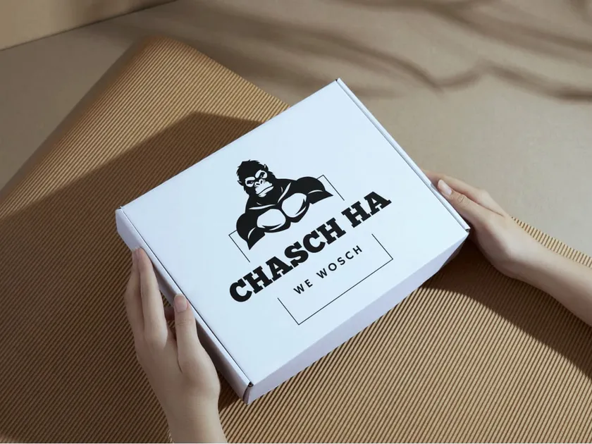 Versandkarton mit chasch ha Logo